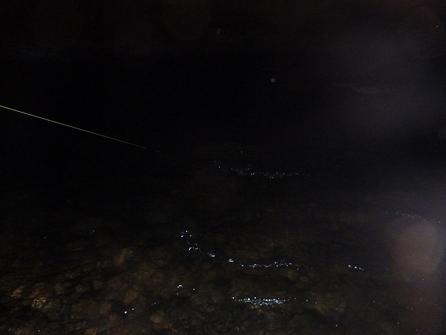 Fish On! (Little early).JPG